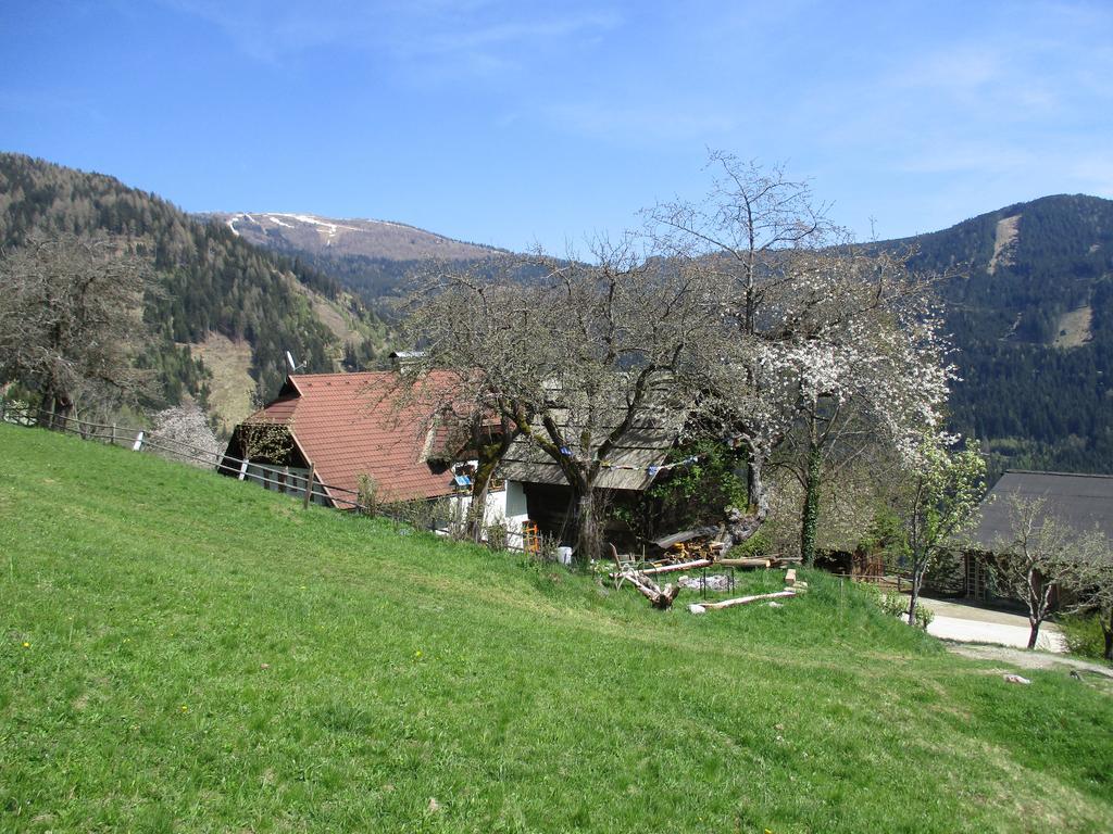 Apartments Berghof Familie Steinwender Pölling Dış mekan fotoğraf