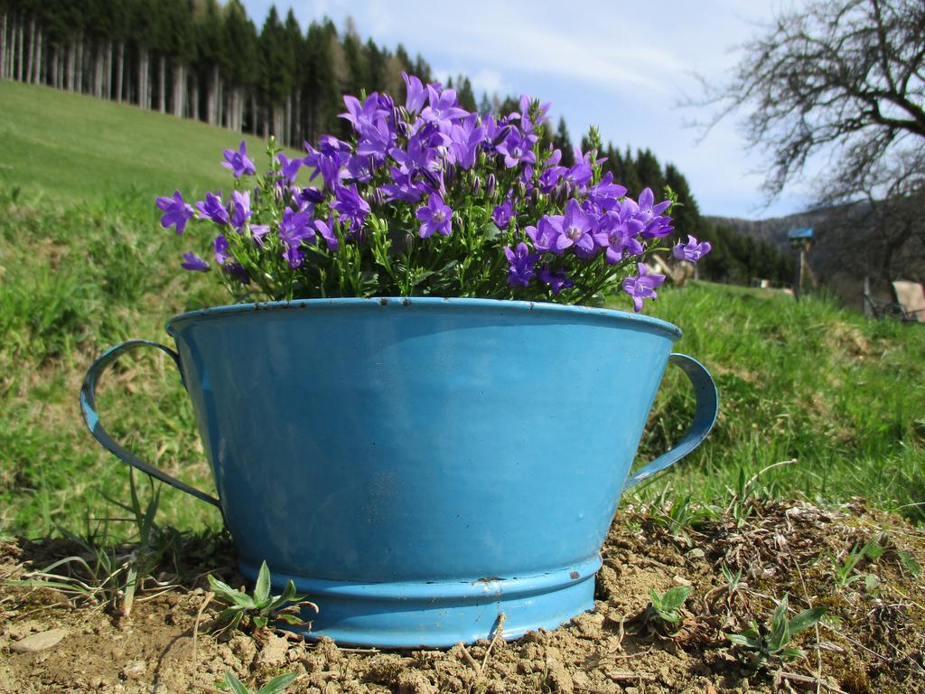 Apartments Berghof Familie Steinwender Pölling Dış mekan fotoğraf