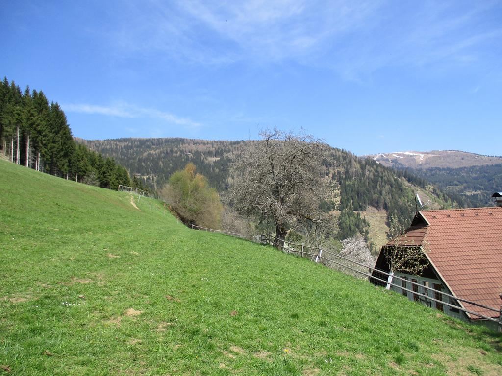 Apartments Berghof Familie Steinwender Pölling Dış mekan fotoğraf